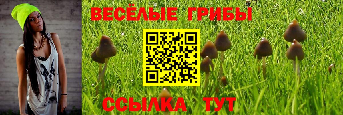 Магадан  Галлюциногенные грибы Magic Shrooms  Галлюциногенные грибы MAGIC MUSHROOMS  Вход с VPN 