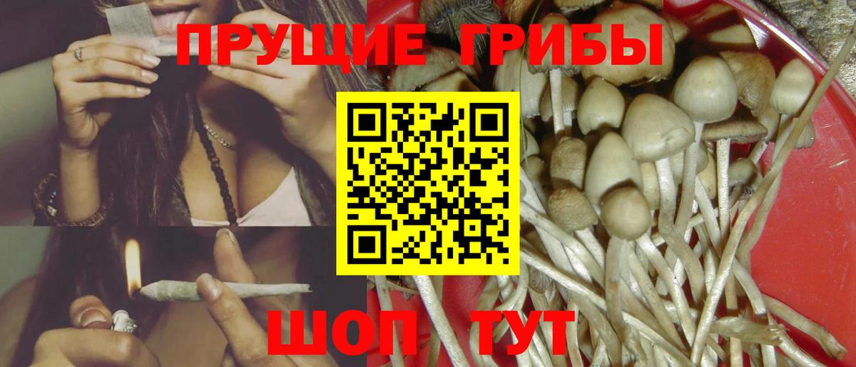 Галлюциногенные грибы мицелий Магадан